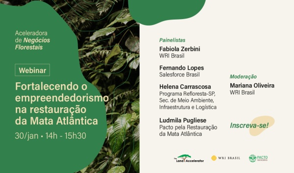 Strengthening Restoration Entrepreneurship in Brazil’s Atlantic Forest