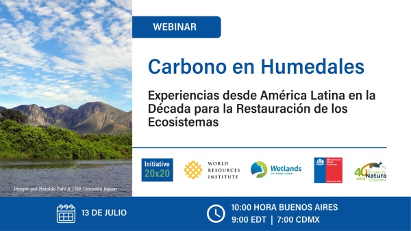 Carbono en Humedales: Experiencias desde América Latina en la Década para la Restauración de los Ecosistemas