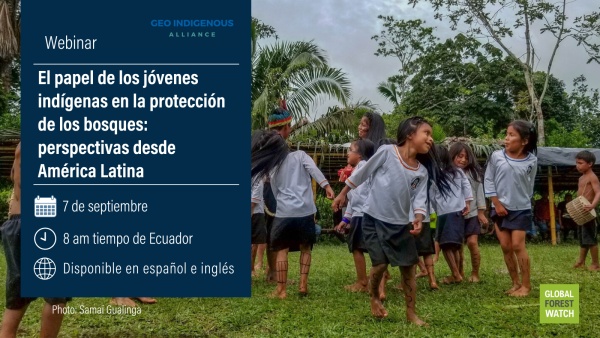 El papel de los jóvenes indígenas en la protección de bosques: Perspectivas desde América Latina