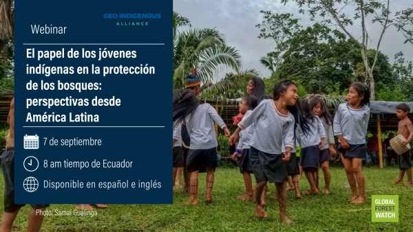 Strengthening the Role of Indigenous Youth in Forest Protection: Perspectives from Latin America 